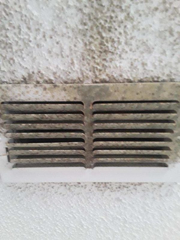 IS AN AIR DUCT CLEANING SERVICE REALLY 99? Air Duct Cleaning Orlando Voted Orlando's 1