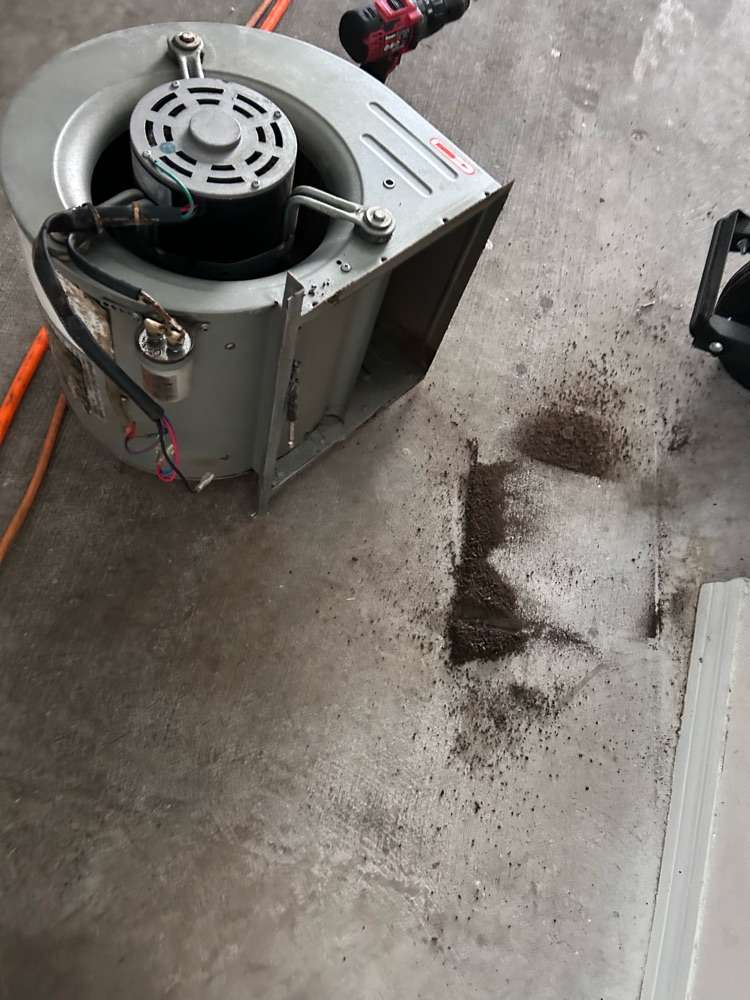 Close-up of debris and dust buildup inside residential ductwork before cleaning